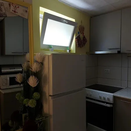 For Two With Parking 아파트 노비사드